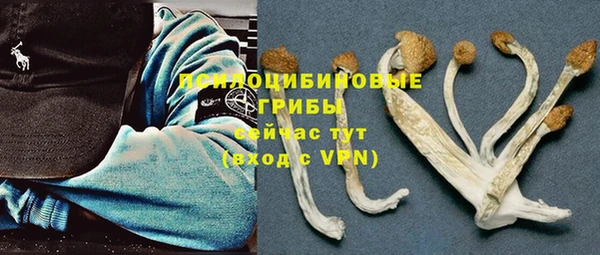 молекула духа Остров