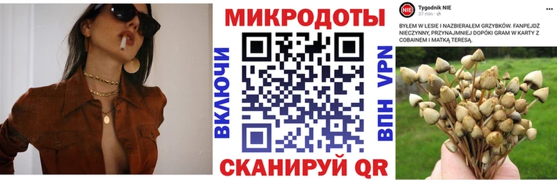 Галлюциногенные грибы прущие грибы  кракен как зайти  Клин 