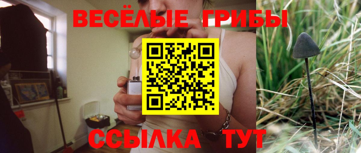 Галлюциногенные грибы мицелий  что такое наркотик  Клин  Псилоцибиновые грибы мухоморы 