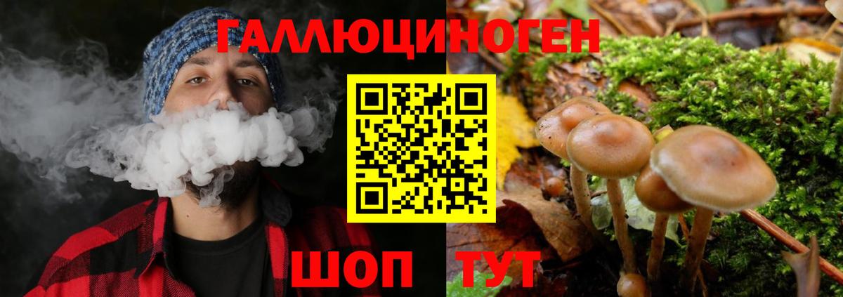 Галлюциногенные грибы прущие грибы Клин