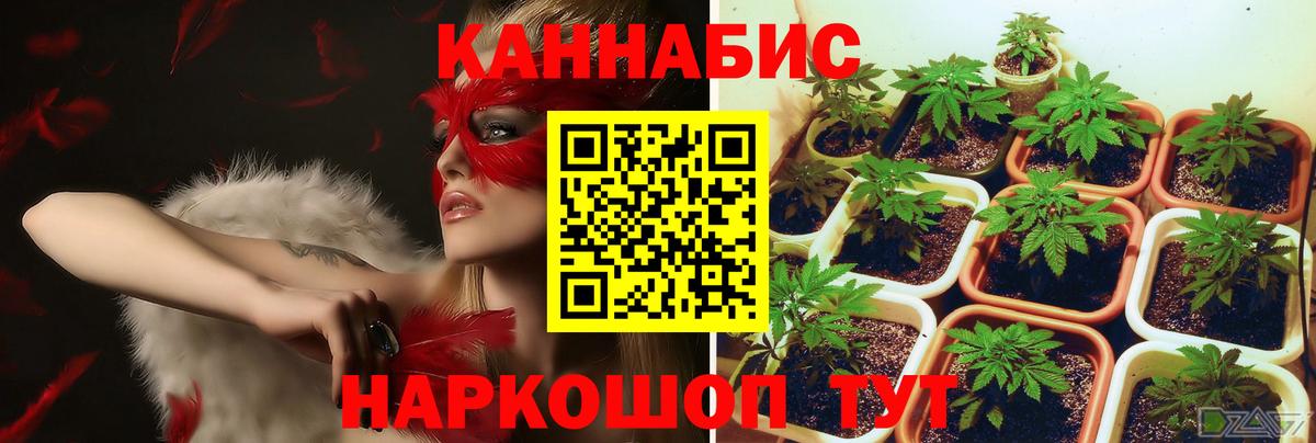 Конопля ГИДРОПОН  Бошки Шишки гибрид  Вход с VPN  Конопля Amnesia  Клин 